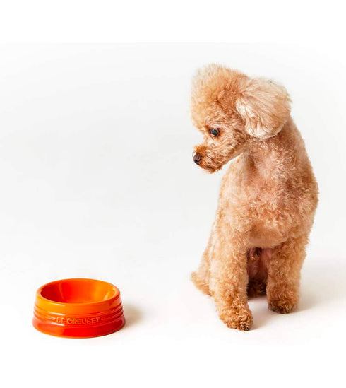 Le Creuset(ル・クルーゼ)PET BOWL S/ペットボウル